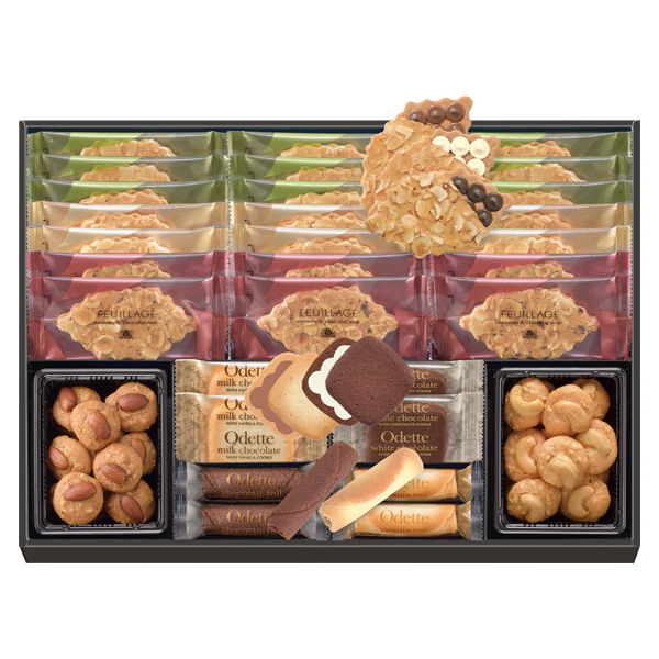 ]t XC[gTvCYM (MO-0455)